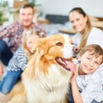 Moving Abroad with Pets
