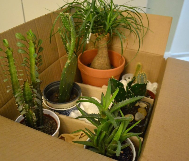 Moving with Plants