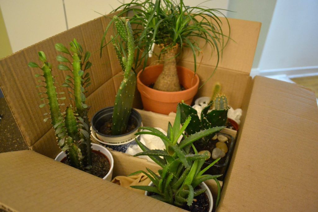 Moving with Plants